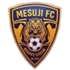 Mesuji FC